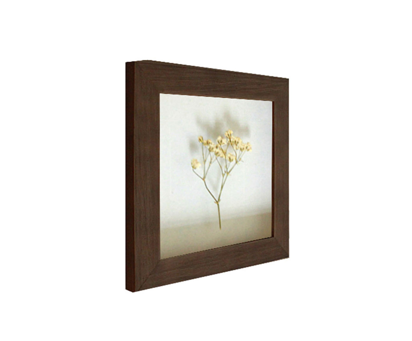 Quadro Mosquitinho Imbuia image number 1