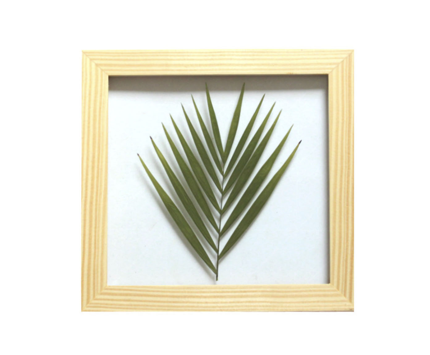 Quadro Palmeira Pinus image number 0