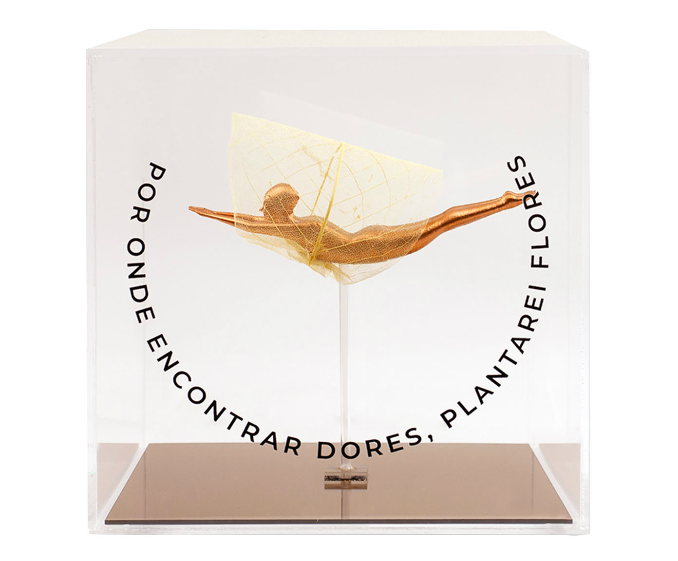 Caixa Decorativa Nicolazzi Bronze - image 0