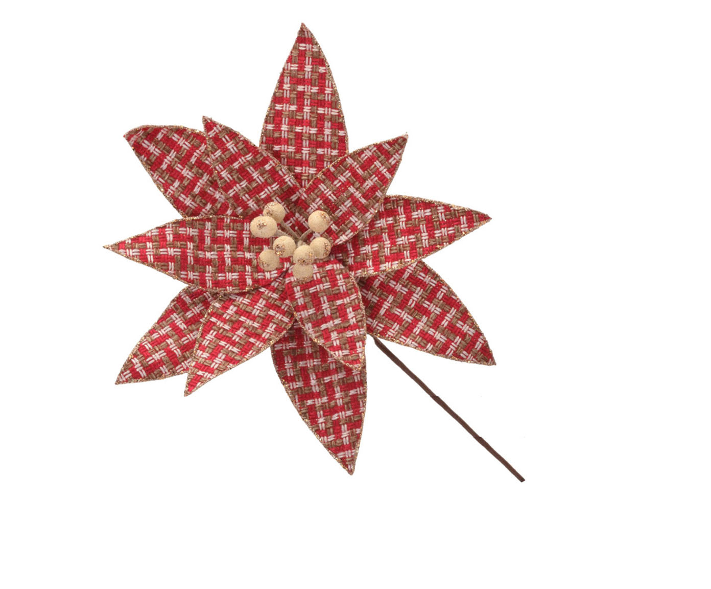 Flor Natalina Brisa Florida - image 0