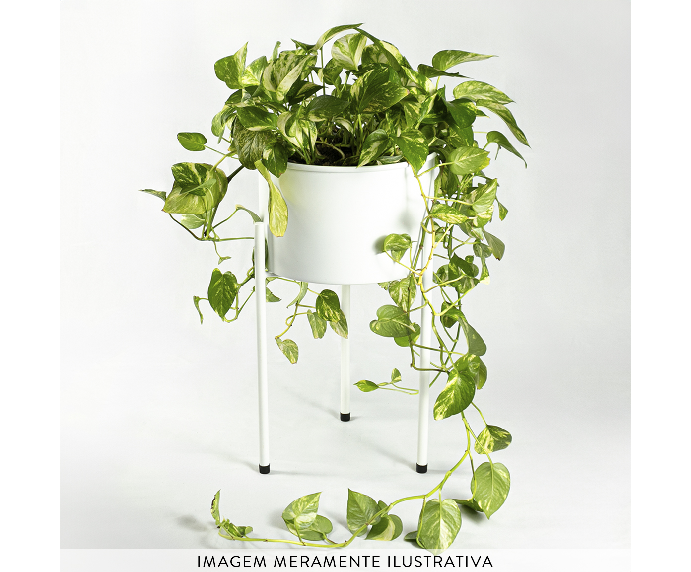 Suporte de Plantas com Vaso Humait&aacute; 2.0 Branco image number 1