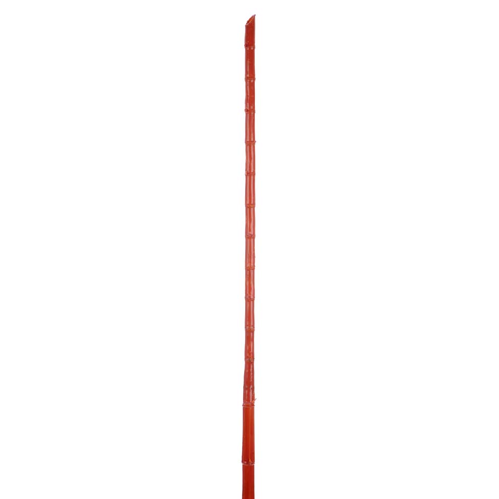 Adorno Bamboo Passion - image 0