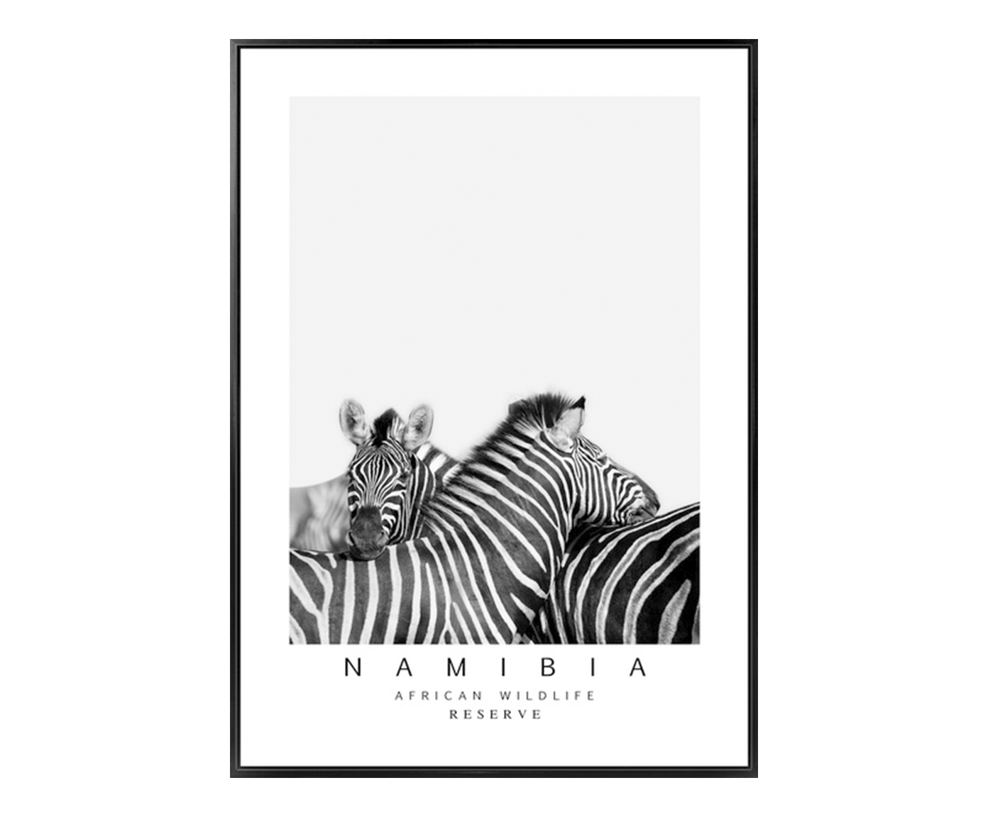 Quadro Zebra Nam&iacute;bia image number 0