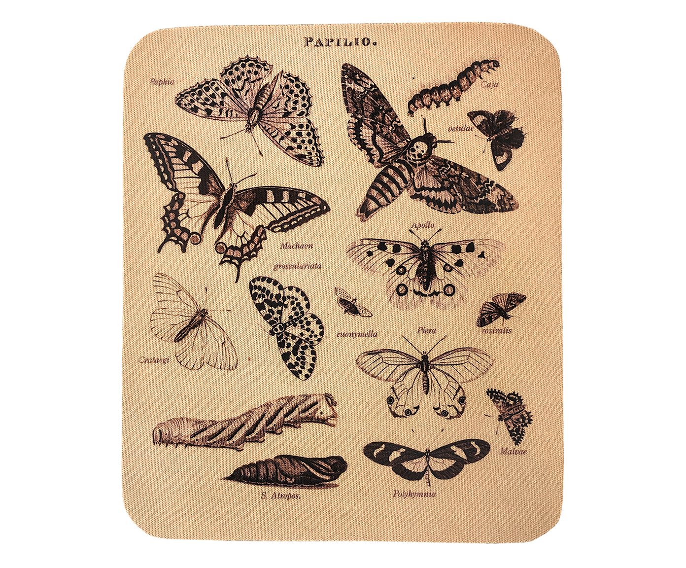 Mousepad Pap&iacute;lio - image 0