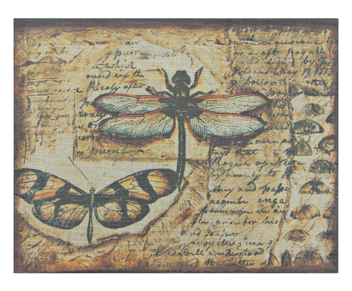 Tecido de Parede Dragonfly image number 0