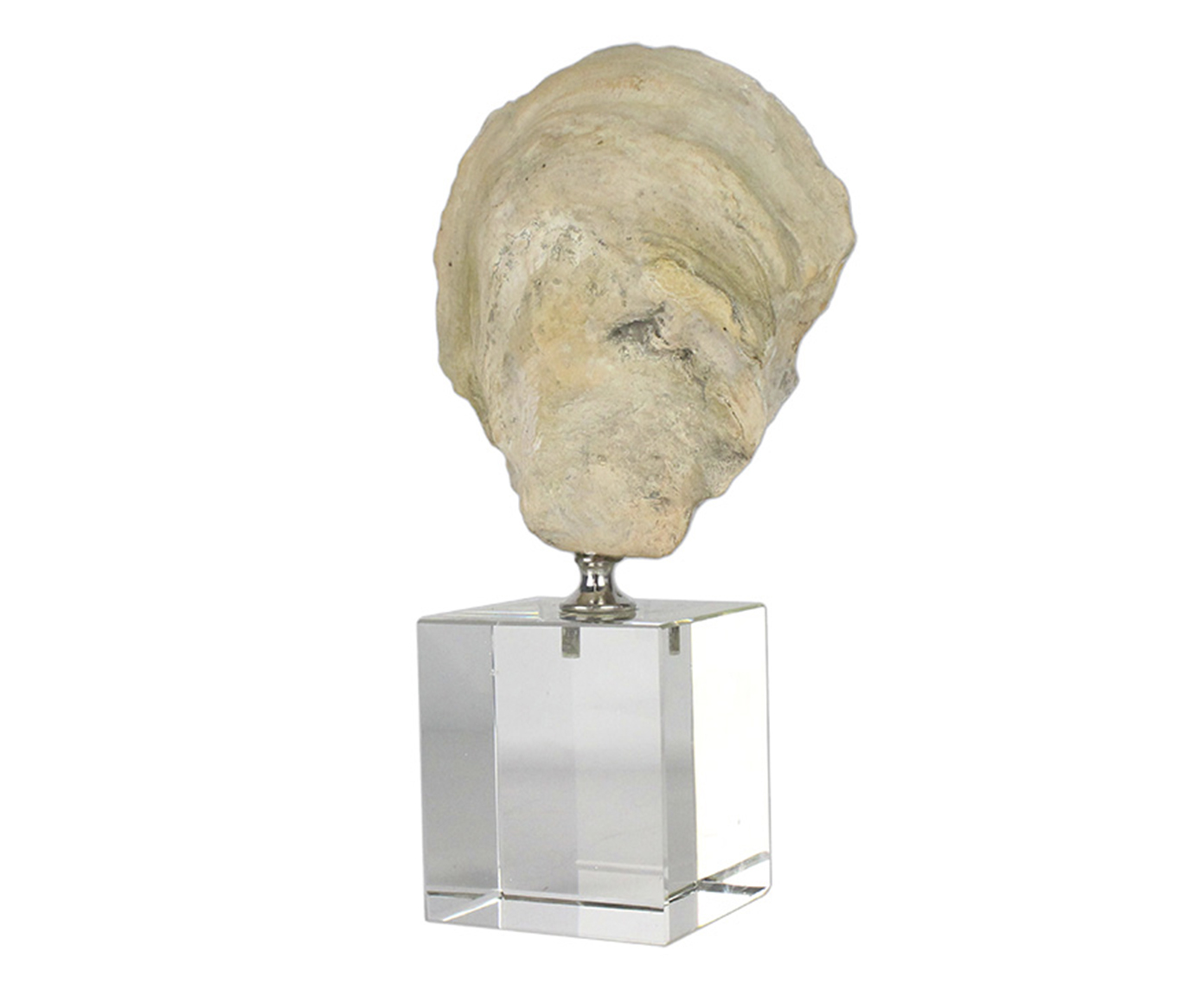 Adorno Decorativo Cozza Bege - image 0