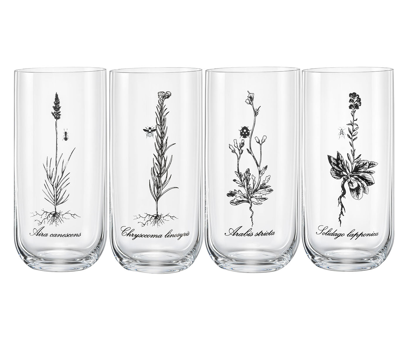 Jogo de Copos Altos Herbal em Cristal Sortido - image 0