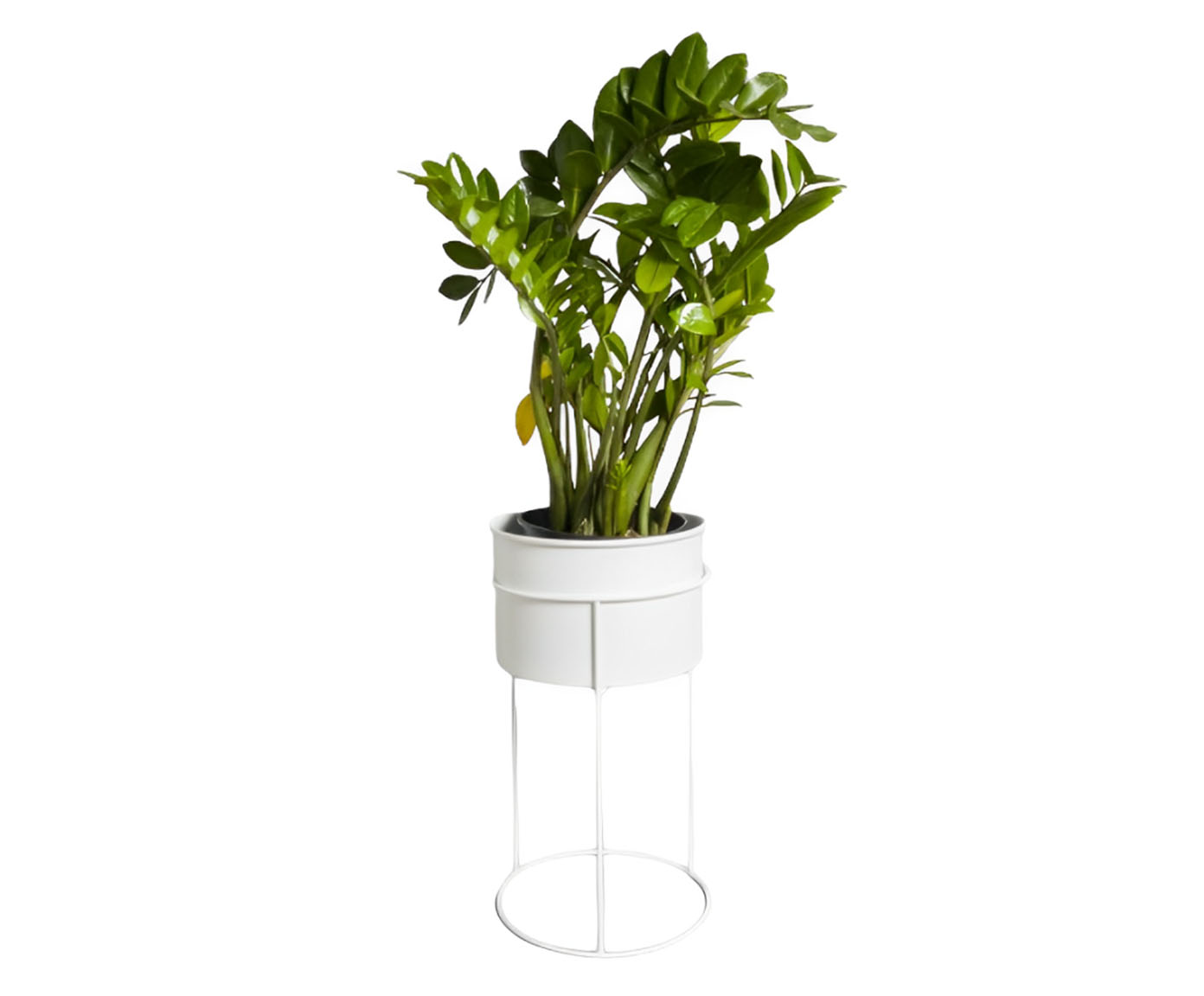 Suporte de Plantas com Vaso Humait&aacute; Branco - image 0