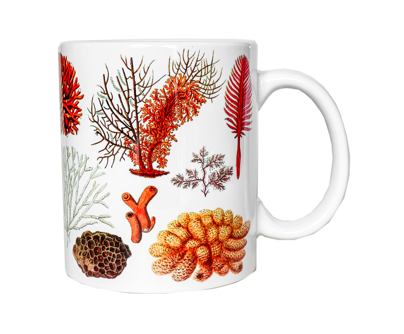 Caneca Corais image number 0