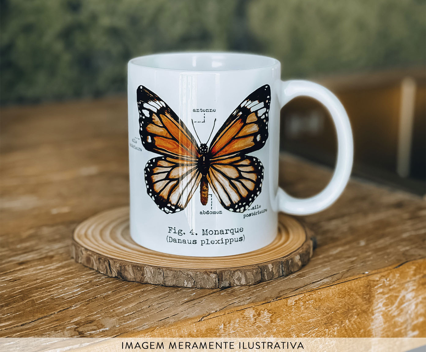Caneca Borboleta Monarca Aquarela image number 6