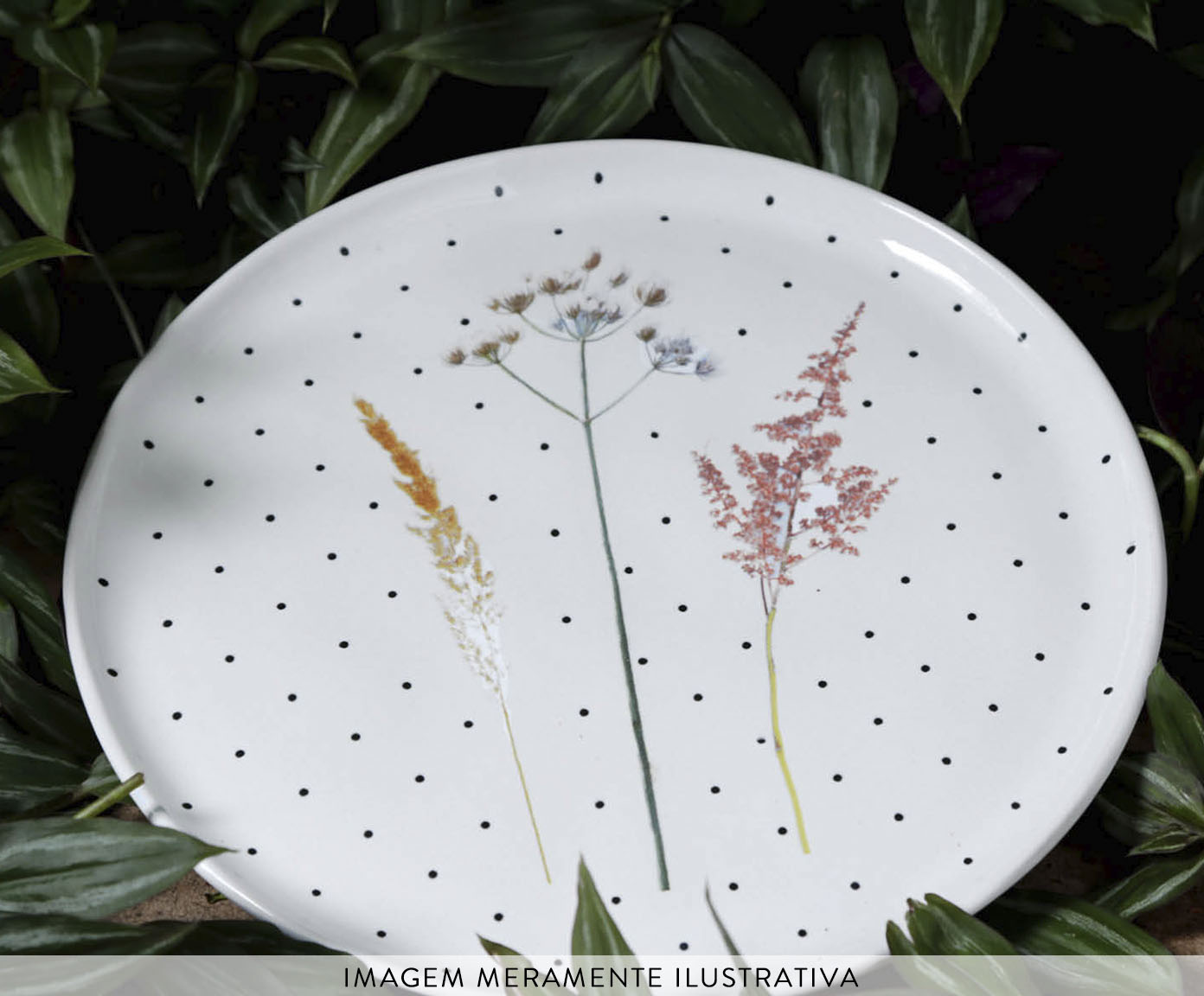 Jogo de Pratos Raso Bio Floralis - image 1