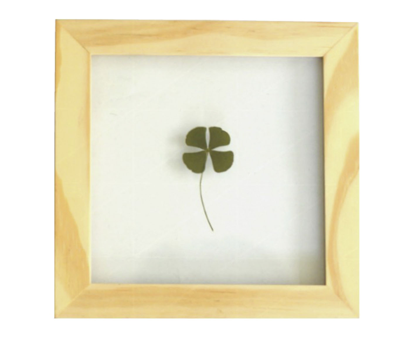 Quadro Trevo Pinus image number 0