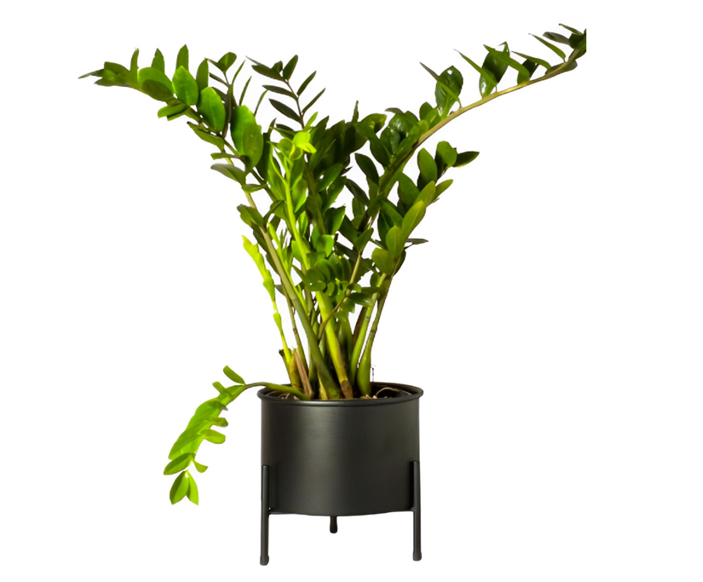Suporte de Plantas com Vaso Slim Humait&aacute; Preto - image 0
